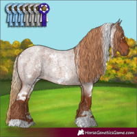 Horse Color:White Spotted Red Roan 