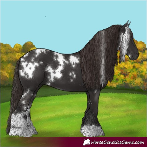 Horse Color:White Spotted Liver Chestnut 