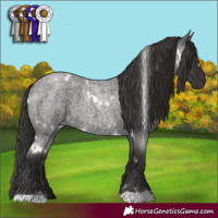Horse Color:White Spotted Liver Red Roan 