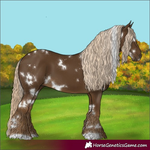 Horse Color:White Spotted Chocolate Palomino