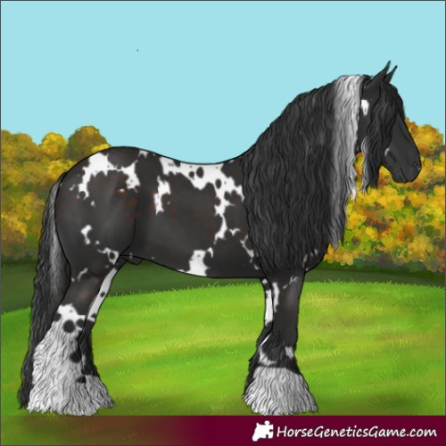 Horse Color:White Spotted Liver Chestnut 