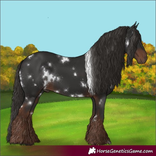 Horse Color:White Spotted Liver Chestnut 