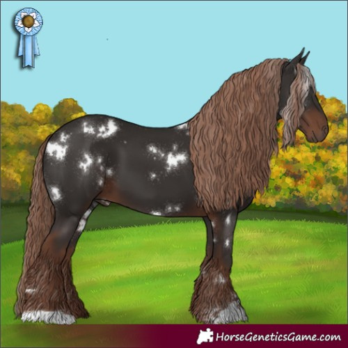 Horse Color:White Spotted Liver Chestnut 