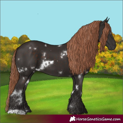 Horse Color:White Spotted Liver Chestnut 
