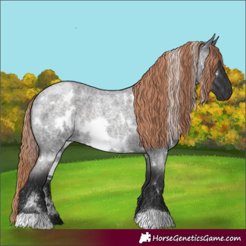 Horse Color:White Spotted Liver Red Roan