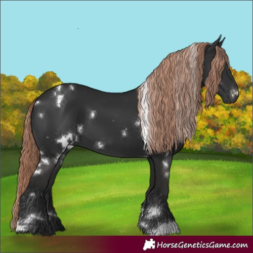 Horse Color:White Spotted Liver Chestnut 