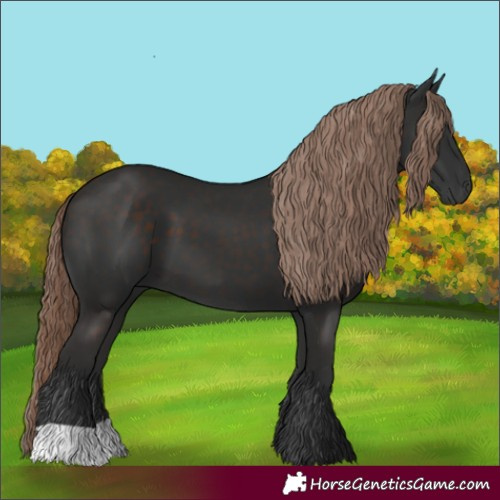 Horse Color:Liver Chestnut 