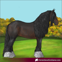 Horse Color:Brown 