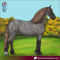 Horse Color:Liver Red Roan 