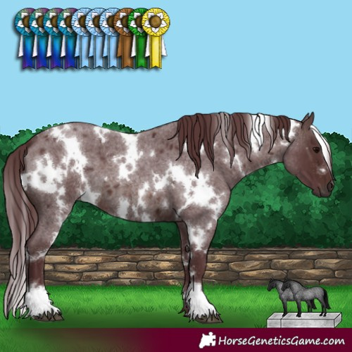 Horse Color:White Spotted Chocolate Brown Roan 