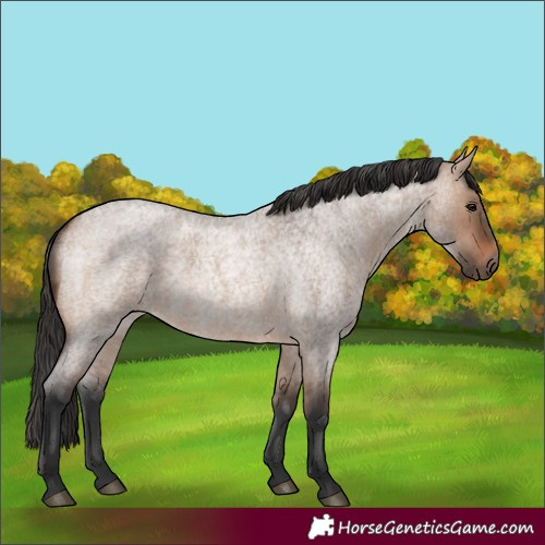 Horse Color:Brown Roan Dun 
