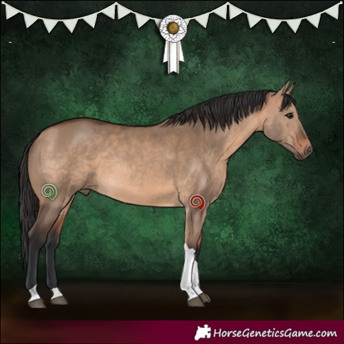 Horse Color:Brown Dun Tobiano Rabicano 