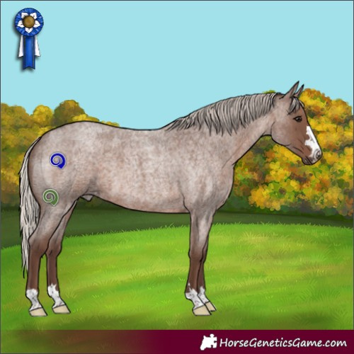 Horse Color:Silver Blue Roan 