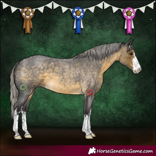 Horse Color:White Spotted Silver Buckskin Roan 