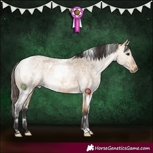 Horse Color:White Spotted Buckskin Roan Rabicano 