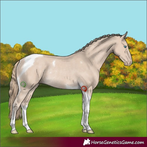Horse Color:Smoky Creme Tobiano Rabicano 