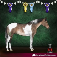 Horse Color:Brown Dun Tobiano Rabicano
