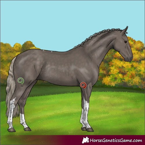 Horse Color:Silver Smoky Black Tobiano Rabicano 