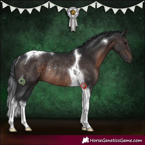 Horse Color:Brown Tobiano Rabicano 