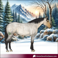 Horse Color:Buckskin Roan Dun Rabicano