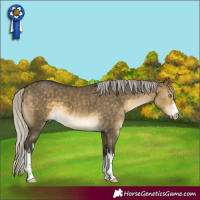 Horse Color:White Spotted Silver Buckskin Dun 