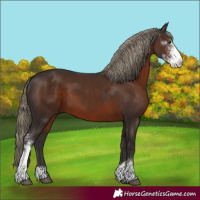 Horse Color:Liver Chestnut Sabino