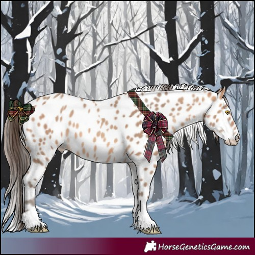 Horse Color:Amber Champagne Tobiano Leopard 