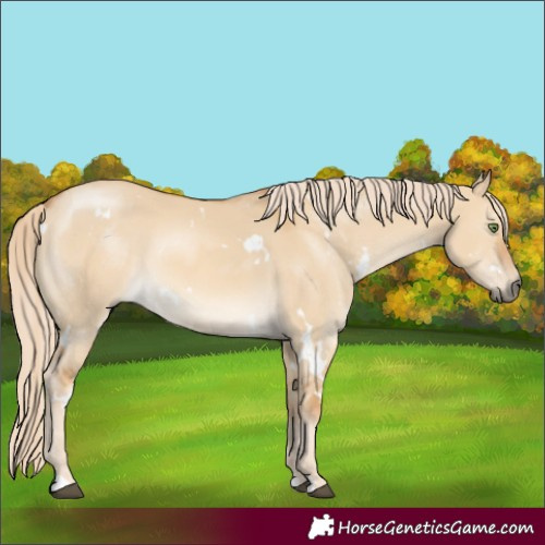 Horse Color:White Spotted Palomino Dun Mushroom 