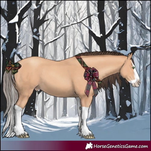 Horse Color:Amber Champagne Splash 