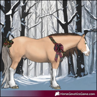 Horse Color:Amber Champagne Splash 