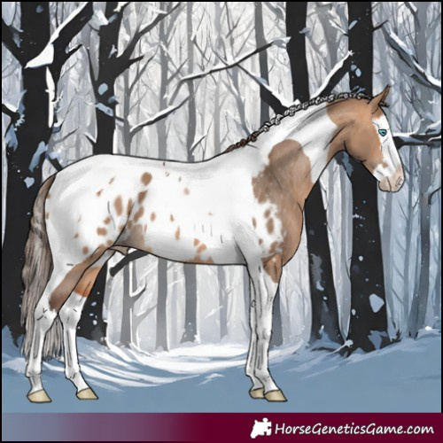 Horse Color:Bay Dun Splash Tobiano Blanket Rabicano 