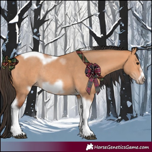 Horse Color:Bay Dun Tobiano Frame Rabicano 