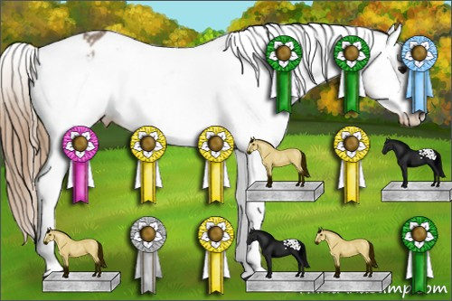 Horse Color:Buckskin Appaloosa 