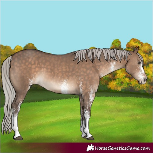 Horse Color:White Spotted Silver Brown Dun