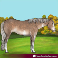 Horse Color:White Spotted Silver Brown Dun 