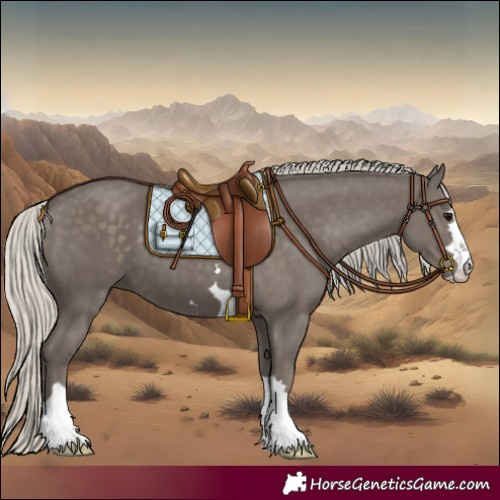 Horse Color:Silver Smoky Black