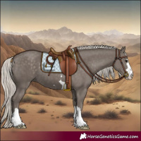 Horse Color:Silver Smoky Black