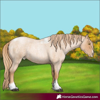 Horse Color:Red Roan Pearl Tobiano Frame 