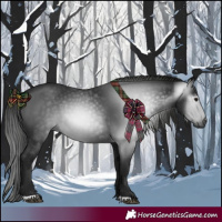 Horse Color:Gray Black 
