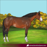 Horse Color:Brown 