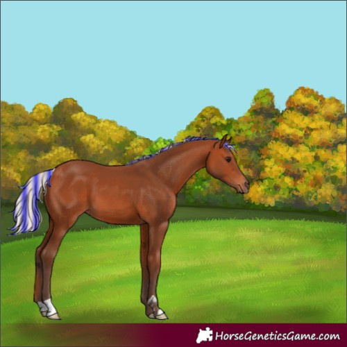 Horse Color:Painted Silver Bay 