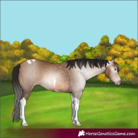 Horse Color:Gray Amber Champagne Tobiano