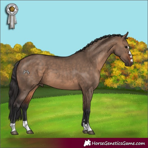 Horse Color:Brown Dun 