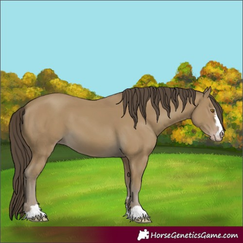 Horse Color:Classic Cream Champagne 