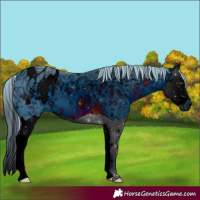 Horse Color:ERROR: UNKNOWN ANOMALY