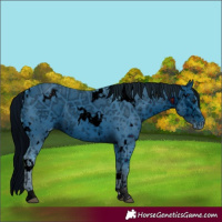 Horse Color:ERROR: UNKNOWN ANOMALY