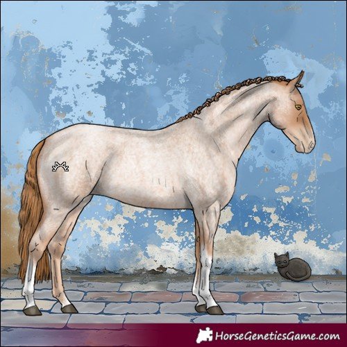 Horse Color:Red Roan Pearl Tobiano Frame