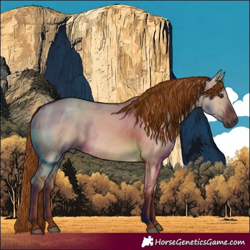 Horse Color:Red Dun 