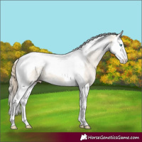 Horse Color:Smoky Creme Ice Dun Splash Tobiano 