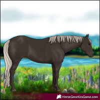 Horse Color:Gray Silver Black 